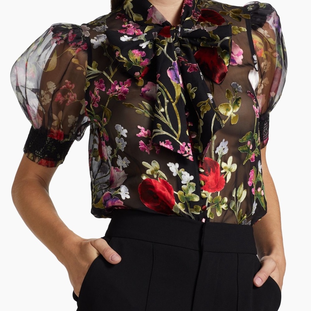 COPY - Floral Sheer Puff Sleeve Top - Black and Red
